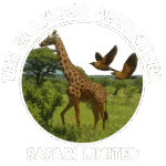 Glamour Adventures Safaris